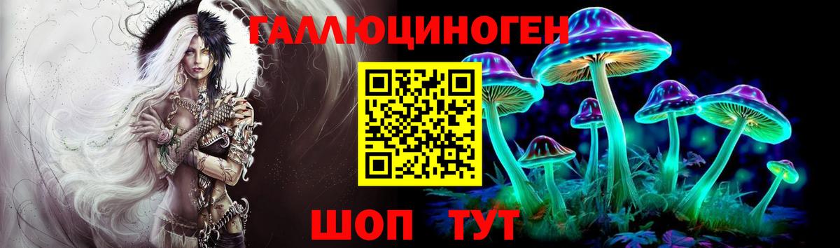 Псилоцибиновые грибы Magic Shrooms  купить наркотик  Кострома  Вход с VPN  Галлюциногенные грибы MAGIC MUSHROOMS 
